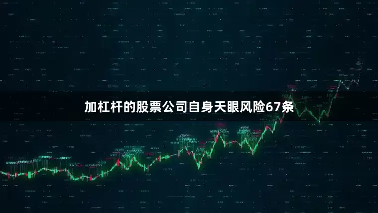 加杠杆的股票公司自身天眼风险67条